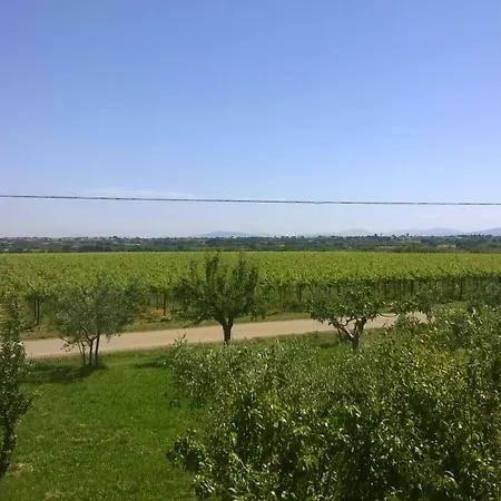 Casolare Marisa Holiday home Rocca San Giovanni