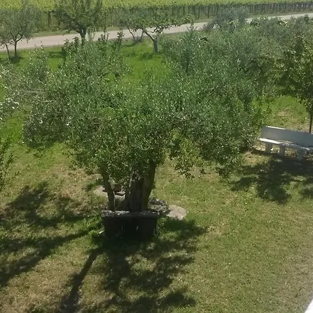 Casolare Marisa Holiday home *
